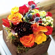 Farmhouse Fleur