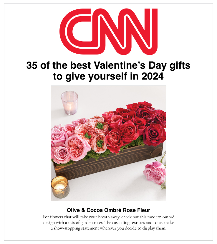 As Seen In CNN 2024.01.22