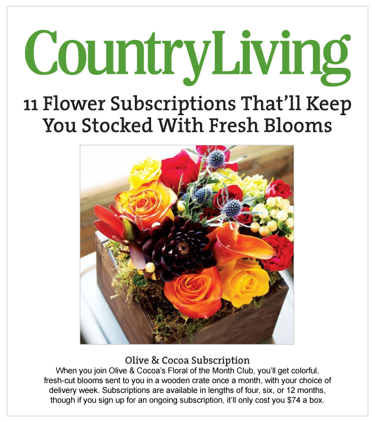 As Seen In Country Living online 01.21.2022