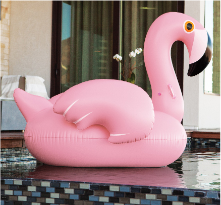 Poolside Flamingo Float