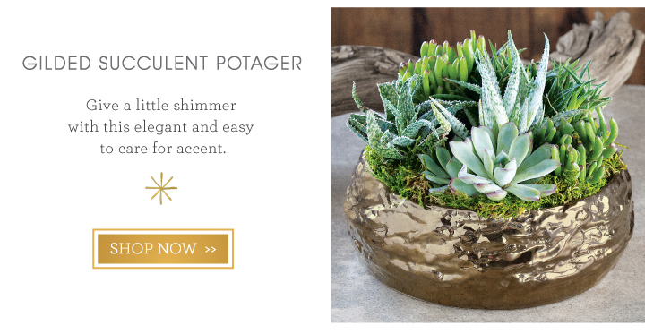 Gilded Succulent Potager