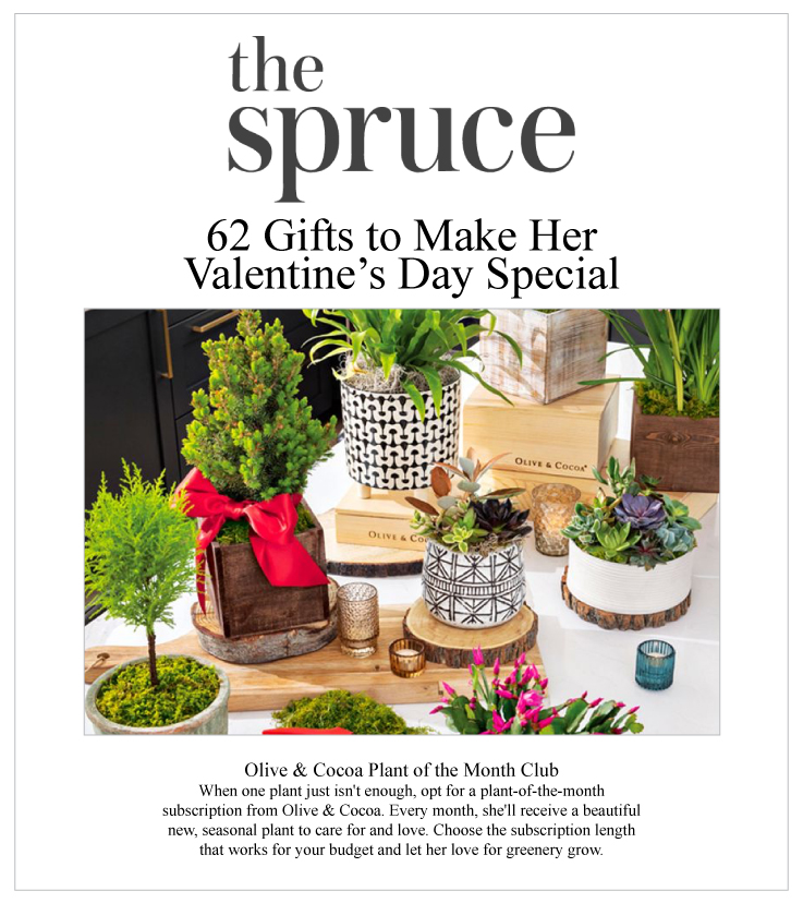 As Seen In The Spruce 2024.01.31