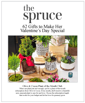 The Spruce