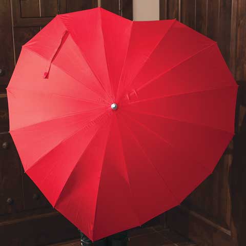 Cover My Heart Umbrella