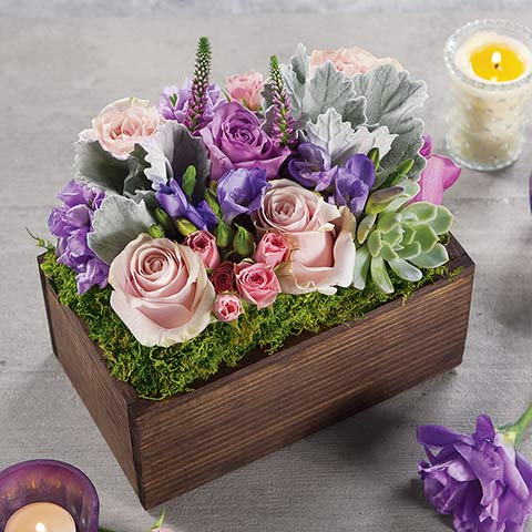 Sweet Petite Fleur