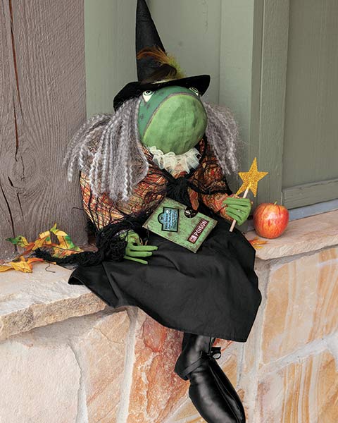 Fanny Frog Witch
