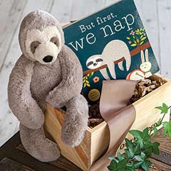 Sleepy Sloth & Storybook
