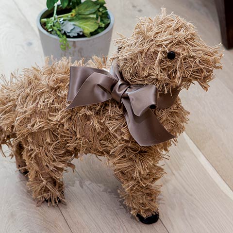 Mocha Dog