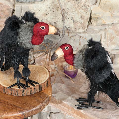 Vladimir & Veruca Vultures