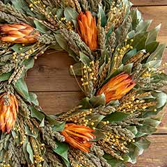 Protea Sunset Wreath