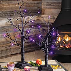 Product Image of Mystic Lit Trees