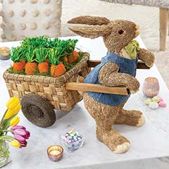 Product Image of Cottontail’s Carrot Cart