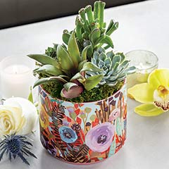Painterly Ceramic Succulent