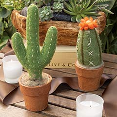 Product Image of Taos Felt Cactus Set