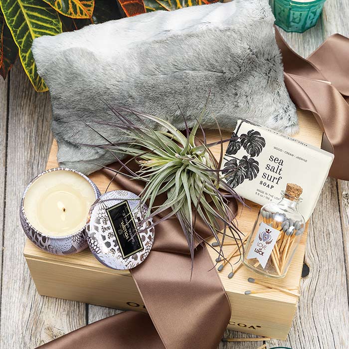 Live Air Plant Spa Crate