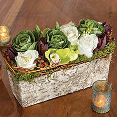 Birch Trough Garden