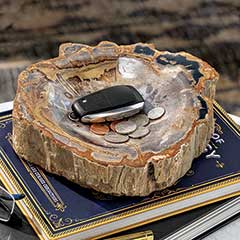 Product Image of Petrified Wood Catch-all