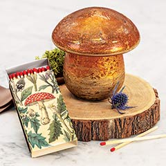 Product Image of Mushroom Candle Set