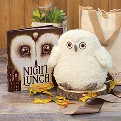 Product Image of Snow Owl & Storybook
