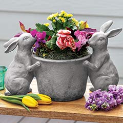 Blooming Bunny Planter