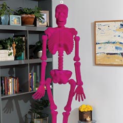 Haute Pink Skeleton