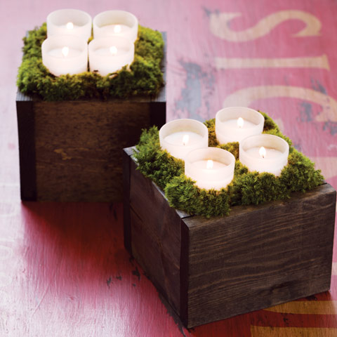 Botanic Candle Lit Boxes