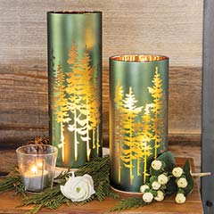 Product Image of Lit Evergreen Lanterns