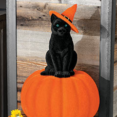 Product Image of Velvet Pumpkin & Black Cat