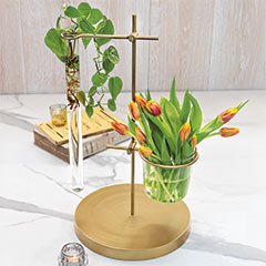 Product Image of Brass Propagation Vase