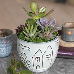 Sweet Home Succulent Planter