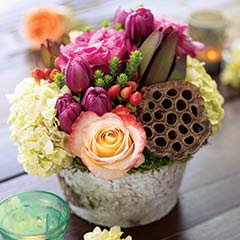 Product Image of Lotus & Birch Fleur