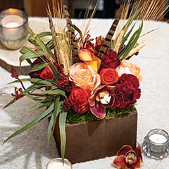 Product Image of Harvest Feathers & Fleurs