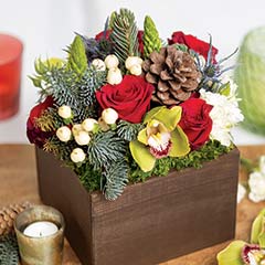 Pine & Thistle Fleur