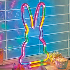 Neon Rainbow Bunny
