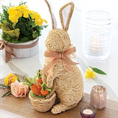 Sweet Bunny With Carrots