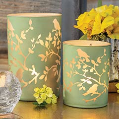 Birds & Branches Hurricanes