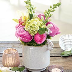 Climbing Bunny Potager