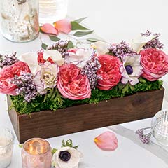 Product Image of Simone