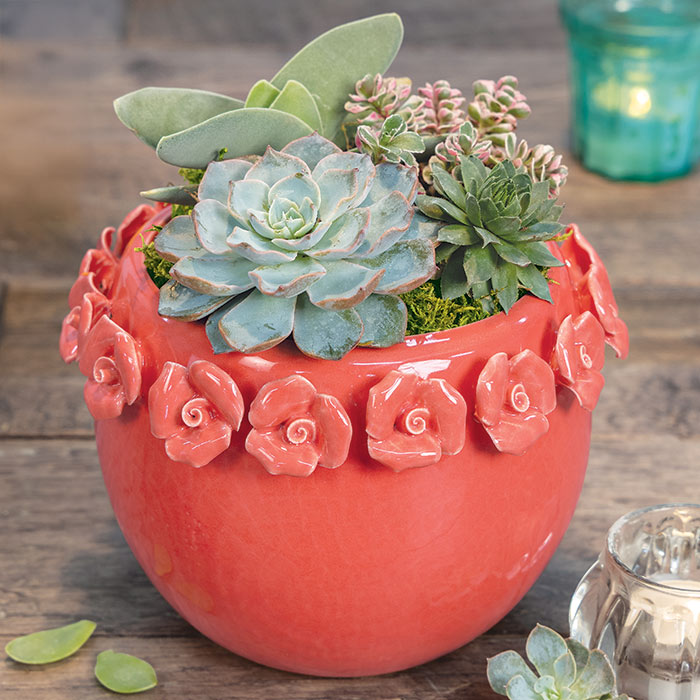 Ring Of Roses Potager