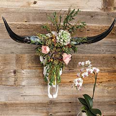 Artisan Longhorn & Fleur