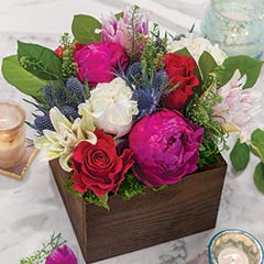 Product Image of Nicole Fleur