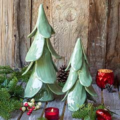 Shining Artisan Evergreens