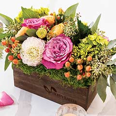 Harper Fleur - Hoppy Easter