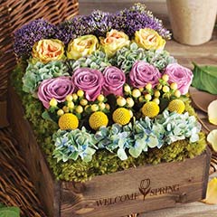 Abigail Garden - Welcome Spring