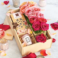 The Olive & Cocoa Amore Gift Set