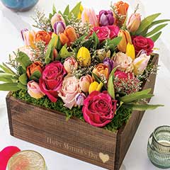 English Tulip Garden - Happy Mother's Day