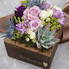 Monique - Happy Mother's Day