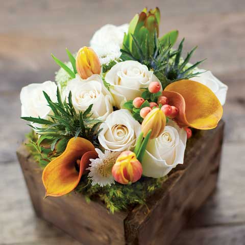 Fiore Bianco