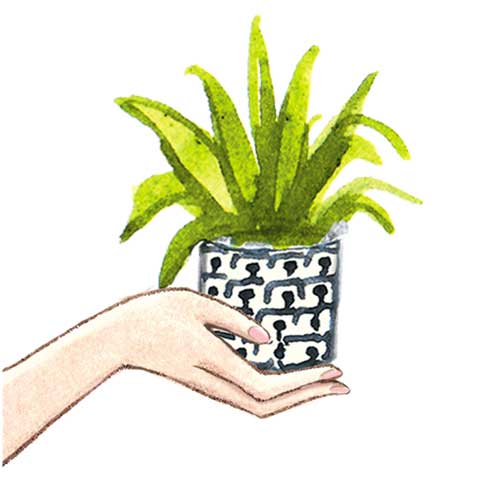 Plant Of The Month Club