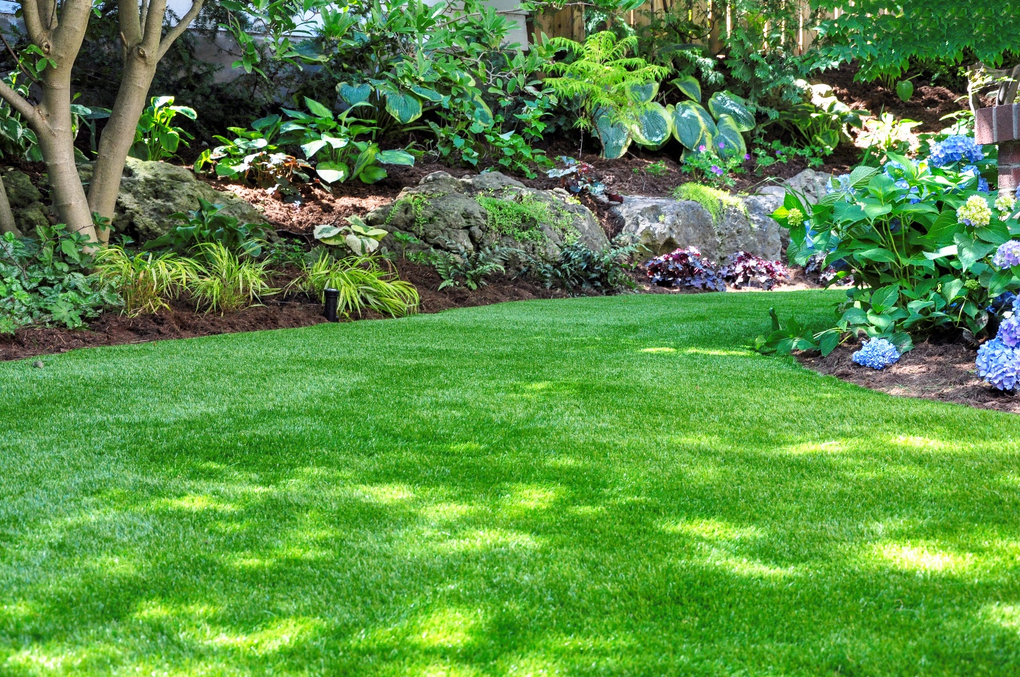 What NOT to do for a Healthy Lawn